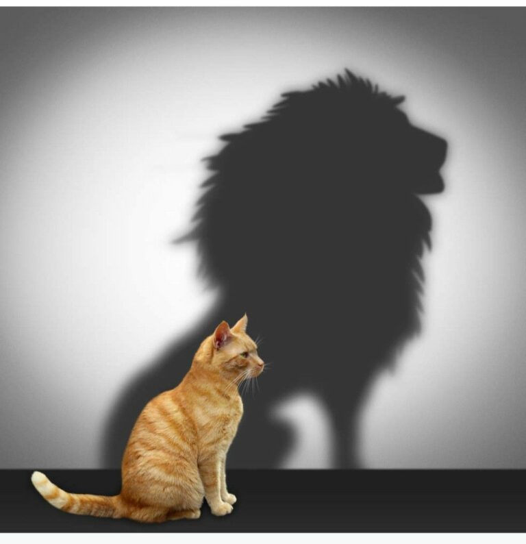 Vaincre ses phobies ou ses peurs.